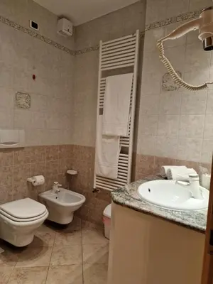 a bathroom with a toilet and a sink at B&B Chalet Brigitte Hike & Bike in Arabba