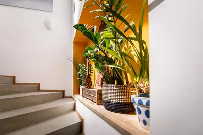 a bunch of plants sitting on a shelf in a hallway at Am Schloss Guest House in Brunico