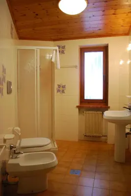 a bathroom with a toilet and a sink at Chalet Helen in Arabba