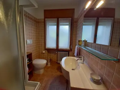 a bathroom with a sink and a toilet at Villa Aurora in Pocol