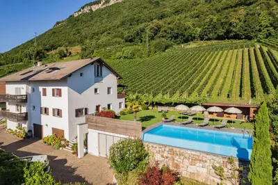 a house with a swimming pool next to a vineyard at Runggnerhof in Termeno