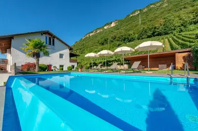 a swimming pool in front of a house with a mountain at Runggnerhof in Termeno