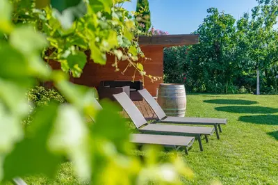 a row of chairs sitting in the grass at Runggnerhof in Termeno
