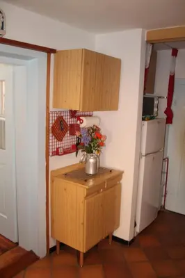 a kitchen with a table with a vase of flowers on it at Dolomites Holidays in Selva di Cadore