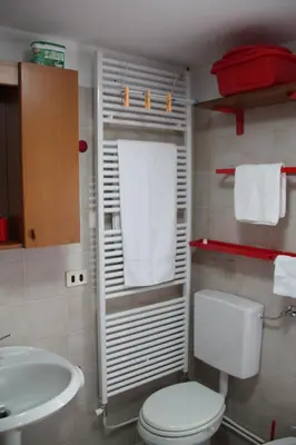 a bathroom with a toilet and a sink at Dolomites Holidays in Selva di Cadore