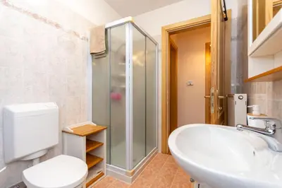 a bathroom with a shower and a sink and a toilet at La Casa di Carlotta in Alleghe