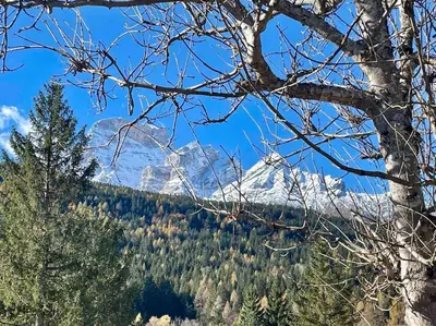 a view of a snow covered mountain in a forest at home in dolomiti in Villanova
