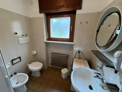 a bathroom with a sink and a toilet and a mirror at CASA PINUCCIA APPARTAMENTO OVEST in Predazzo