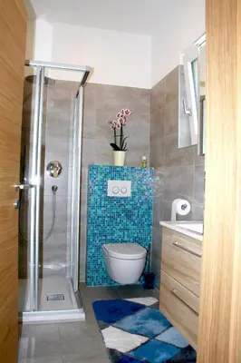 a bathroom with a shower and a toilet and a sink at Haus Zöschg in Andrian