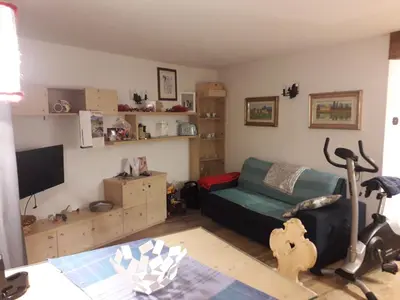 a living room with a green couch and a television at Casa De Sandre in San Vito di Cadore