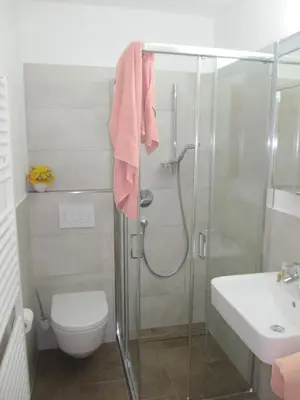 a bathroom with a shower and a toilet and a sink at Garni Sonneck in Laion