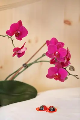 a vase with pink flowers and a pair of scissors at Garni Sonneck in Laion