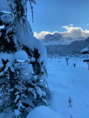 a snow covered tree with snow on it at Apartment Kesselkogel - Rosenheim Apartments in Tires
