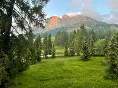 a field with trees and a mountain in the background at Splendida Carezza in Carezza al Lago