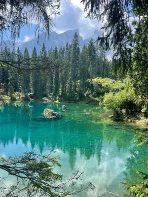 a pool of emerald green water in a forest at Splendida Carezza in Carezza al Lago
