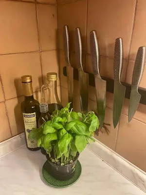 a plant on a counter with knives and a bottle of wine at Splendida Carezza in Carezza al Lago