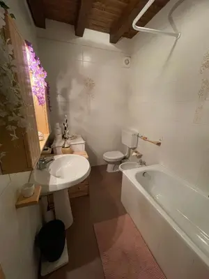 a bathroom with a sink and a tub and a toilet at Splendida Carezza in Carezza al Lago
