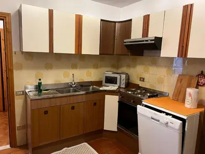 a small kitchen with a sink and a microwave at CASA PINUCCIA MANSARDA in Predazzo