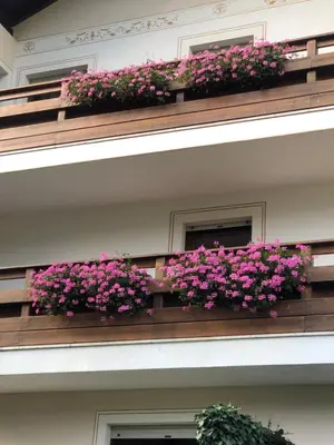 a building with pink flowers on a balcony at CASA PINUCCIA MANSARDA in Predazzo