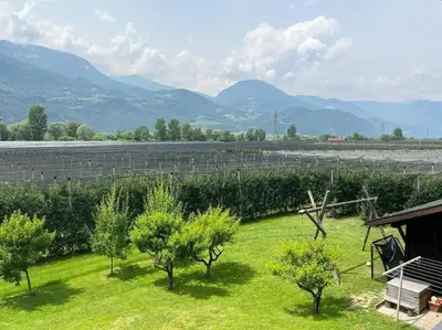 a field of grass with trees and mountains in the background at Haus Hafner Sonniges Apartment in Terlano