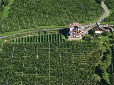 an aerial view of a house in a vineyard at Rastenfeldhof in Parcines