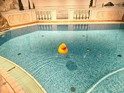 a rubber duck sitting in a swimming pool at Hotel Tonnerhof in Racines
