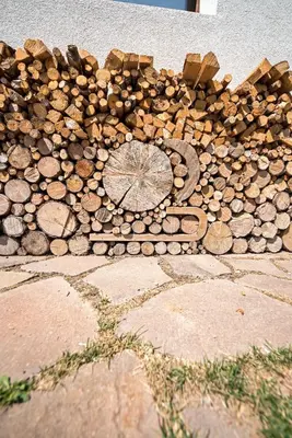 a pile of wood on the side of a wall at Agritur Artemisia in Tesero