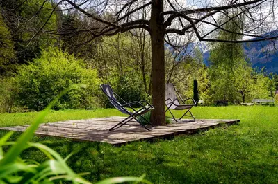 two chairs sitting on a wooden board around a tree at Agritur Artemisia in Tesero