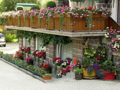 a bunch of flowers in pots on a building at Albergo Trentino in Moena