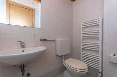 a bathroom with a sink and a toilet and a mirror at Residence Rosental in Alleghe