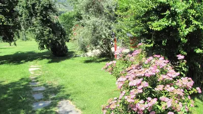 a garden with pink flowers and trees and a path at Ferienwohnungen Günzelgut in Lana