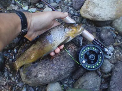 a person holding a fish and a camera on rocks at Silvano Fanti in Rumo