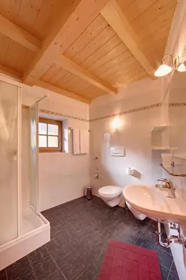 a bathroom with a toilet and a sink and a shower at Ferienwohnungen Plonerhof in San Paolo