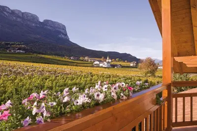 a garden of pink flowers in a vineyard at Ferienwohnungen Plonerhof in San Paolo
