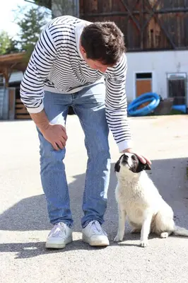 a man bending over to pet a small dog at mösslerhof in Aldino
