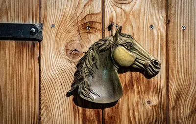 a bronze horse head on a wooden door at Apartements Precalalt in La Villa