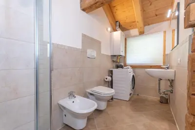 a bathroom with a toilet and a sink at El Maso - Arabba in Livinallongo del Col di Lana