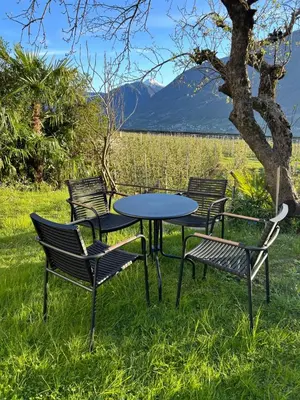 a table and chairs in the grass with a tree at Garden Apartment Villa Corazza in Tirolo
