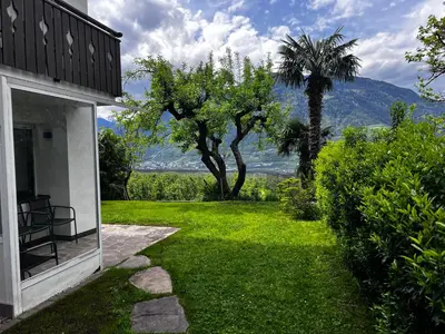 a house with a green yard with a palm tree at Garden Apartment Villa Corazza in Tirolo