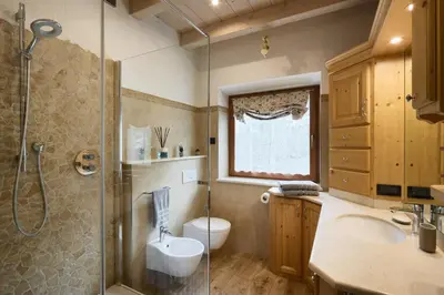 a bathroom with a shower and a sink and a toilet at Apartment Alpen Dolomites in Selva di Cadore