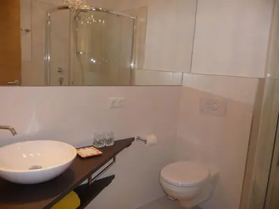 a bathroom with a sink and a toilet and a mirror at Ferienwohnungen HÖLLERHOF in Terlan in Vilpiano