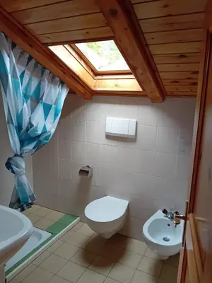 a bathroom with a toilet and a sink and a window at Eggernhof in Lauregno