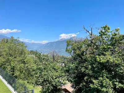 a group of trees with mountains in the background at Unterlechnerhof in Vollan