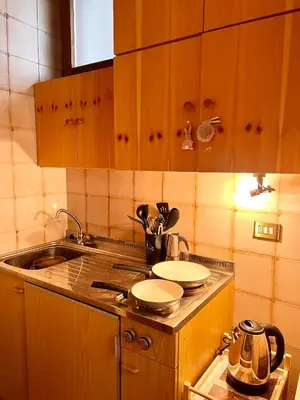 a kitchen with wooden cabinets and a sink at Ciasa AGB in Moena