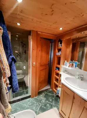 a bathroom with a toilet and a sink and a shower at San vito di Cadore centro - Cortina D'ampezzo in San Vito di Cadore