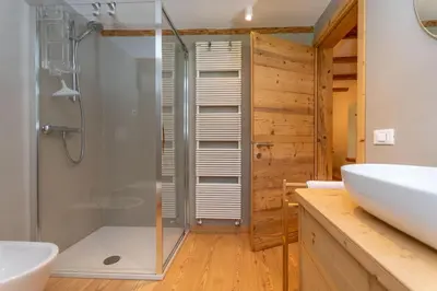a bathroom with a shower and a sink at Appartamento Focobon in Falcade