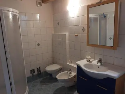 a bathroom with a sink and a toilet and a mirror at Accogliente Bilocale in centro a Predazzo in Predazzo