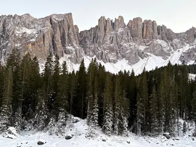 a snow covered mountain with trees in the foreground at Chalet Tschattlhof Dolomites in Ponte Nova
