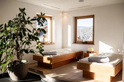 a bedroom with two beds and a potted plant at Garni Jasmin in Kastelruth