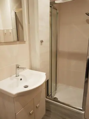 a bathroom with a sink and a shower at Neuhäusel-Hof Appartments in Avigna